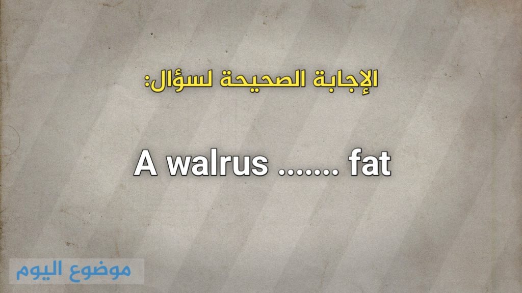 A walrus ....... fat