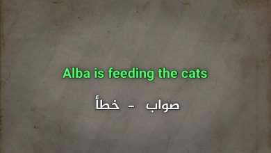 Alba is feeding the cats صواب خطأ