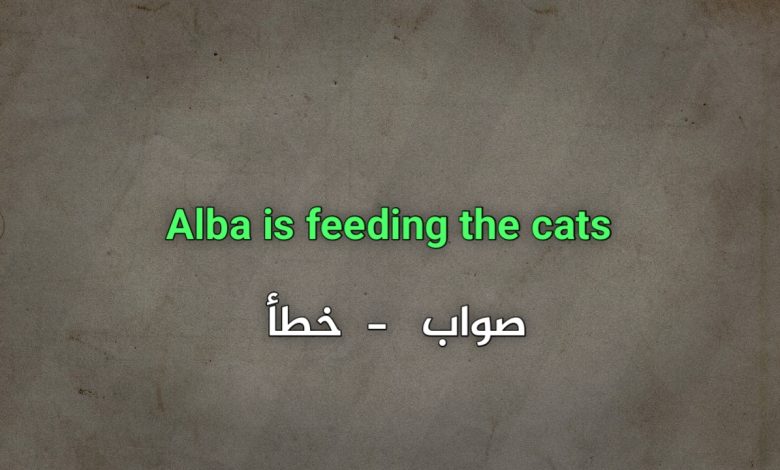 Alba is feeding the cats صواب خطأ