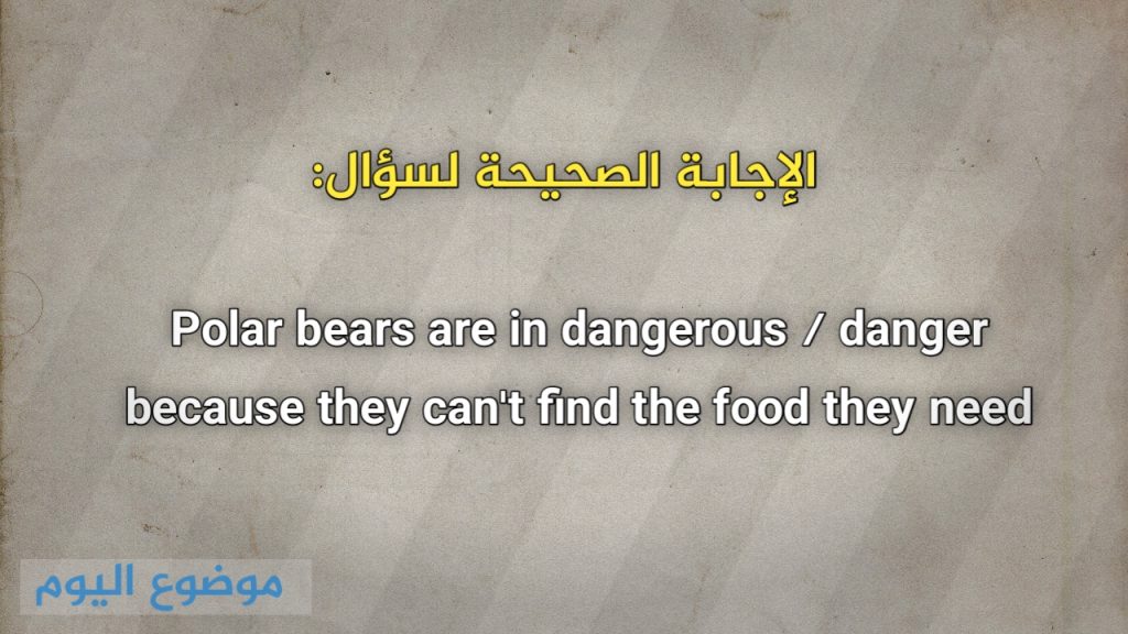 Polar bears are in dangerous / danger because they can't find the food they need
