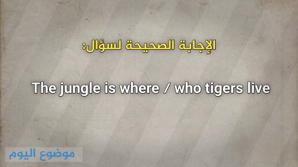 The jungle is where / who tigers live
