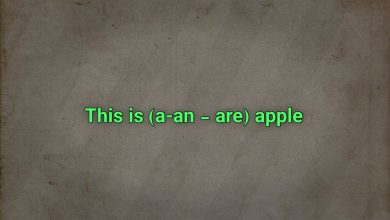 This is (a-an - are) apple