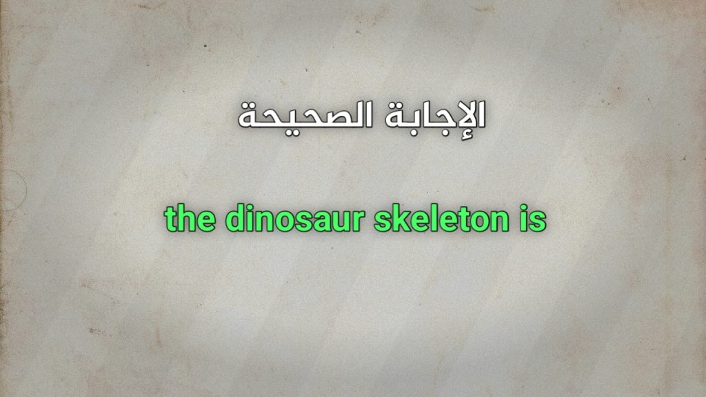 the dinosaur skeleton is