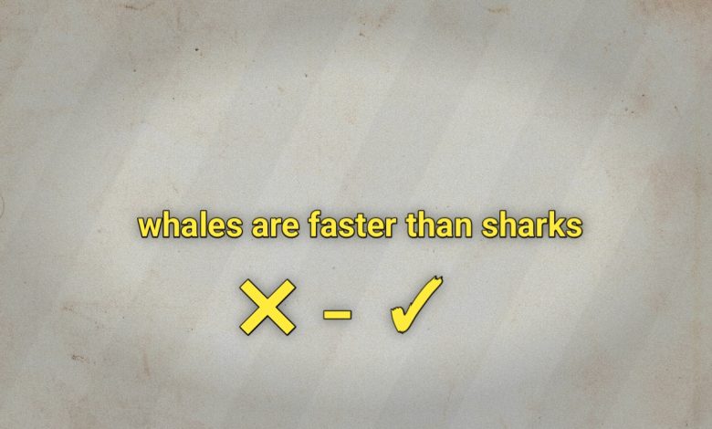 whales are faster than sharks صواب خطأ