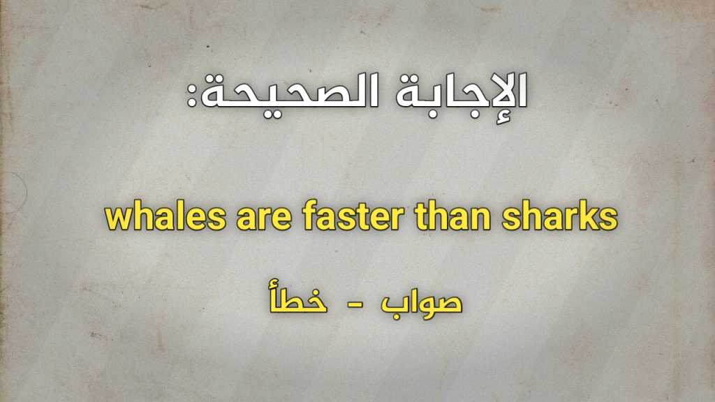 whales are faster than sharks