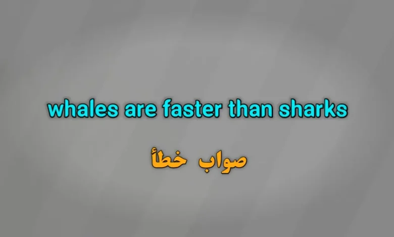whales are faster than sharks. صواب خطأ