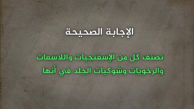 تصنف كل من الإسفنجيات واللاسعات والرخويات وشوكيات الجلد في أنها