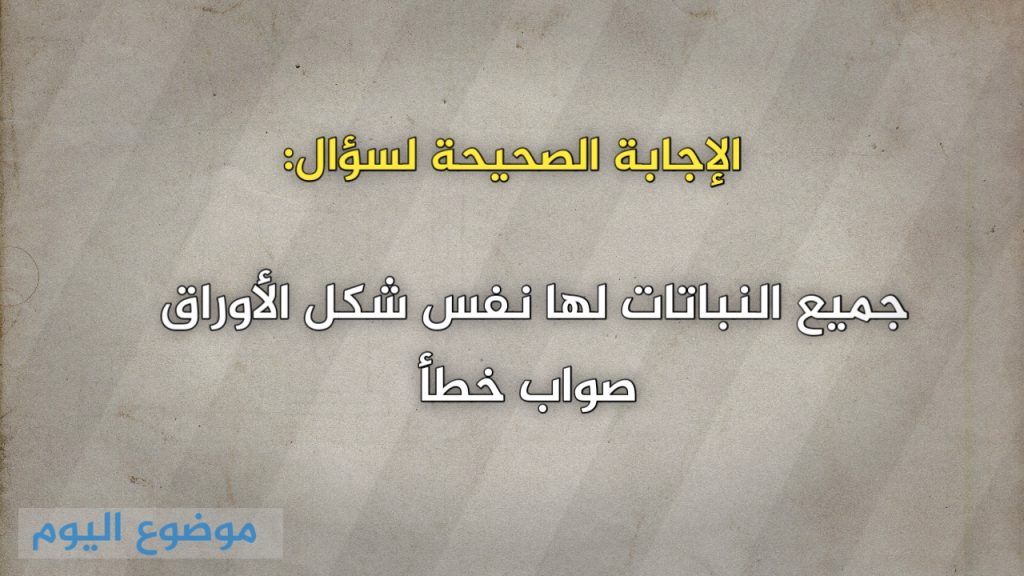 جميع النباتات لها نفس شكل الأوراق صواب خطأ