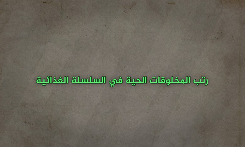 رتب المخلوقات الحية في السلسلة الغذائية