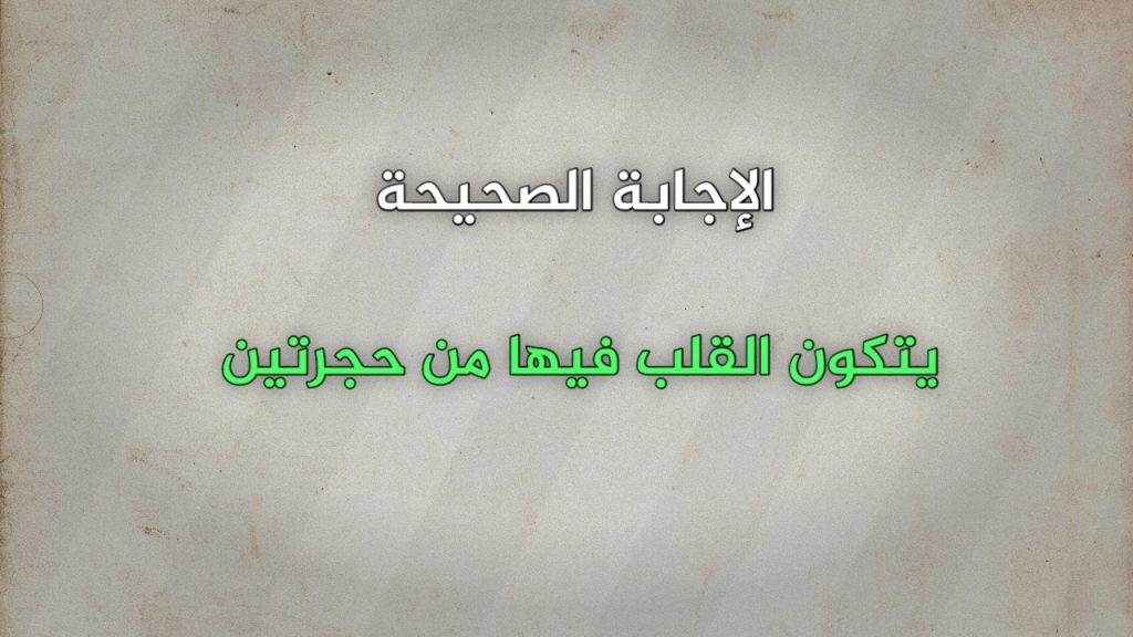 يتكون القلب فيها من حجرتين