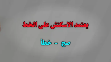 يعتمد الاسكتش على الخط صح ام خطا
