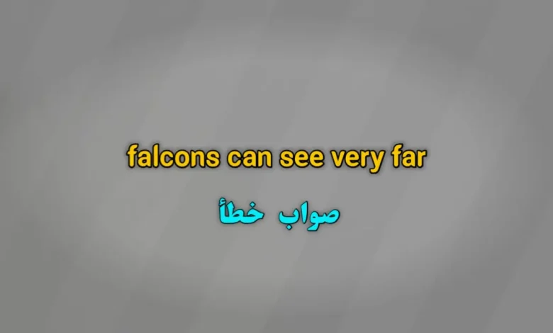 falcons can see very far صواب خطأ