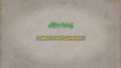 معكوس العدد ٦ هو