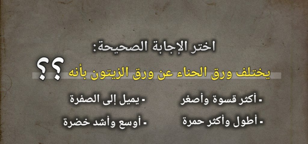 يختلف ورق الحناء عن ورق الزيتون بانه