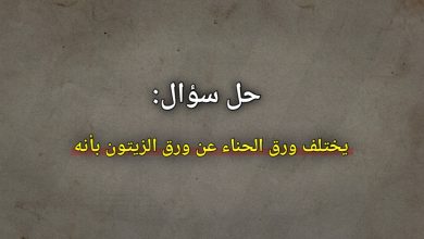 يختلف ورق الحناء عن ورق الزيتون بانه