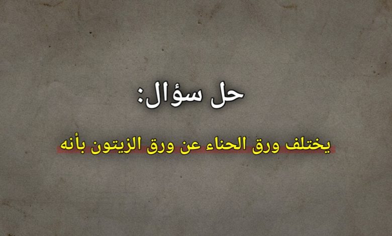 يختلف ورق الحناء عن ورق الزيتون بانه