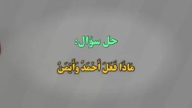 مَاذَا فَعَلَ أَحْمَدُ وَأَيْمَنُ