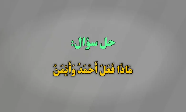 مَاذَا فَعَلَ أَحْمَدُ وَأَيْمَنُ