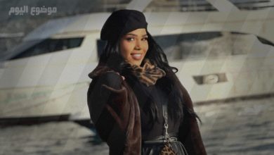 شيماء سيف ويكيبيديا | العمر الحقيقي، الطول، الوزن، زوج شيماء سيف وأهم أعمالها