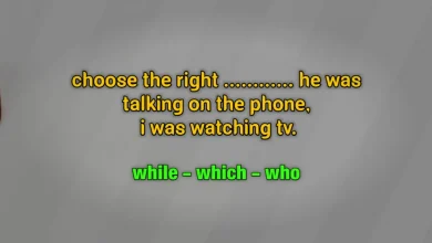choose the right ............ he was talking on the phone, i was watching tv. while which who