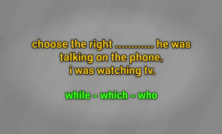 choose the right ............ he was talking on the phone, i was watching tv. while which who