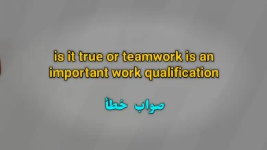 is it true or teamwork is an important work qualification صواب خطأ