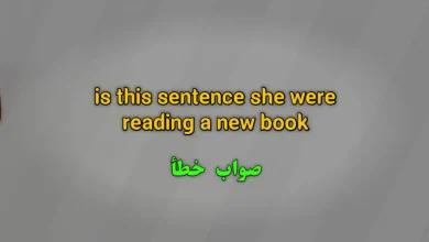 is this sentence she were reading a new book. صواب خطأ