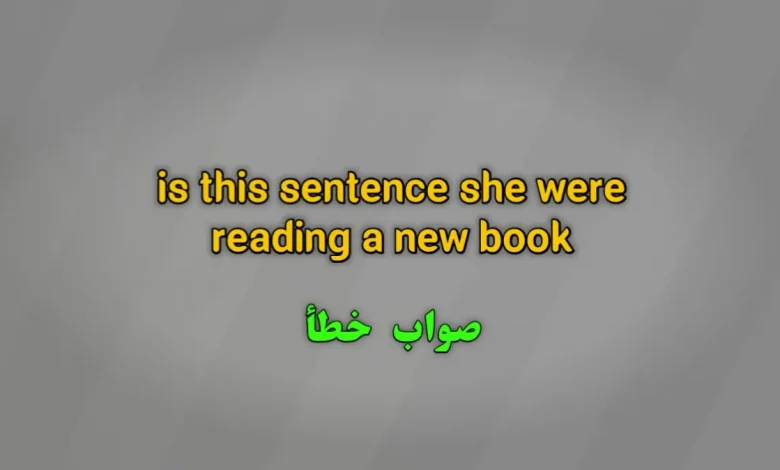 is this sentence she were reading a new book. صواب خطأ