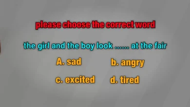 please choose the correct word .the girl and the boy look ___ at the fair