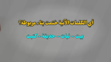 أي الكلمات الآتية ختمت بتاء مربوطة؟ بيت نبات حديقة كتبت