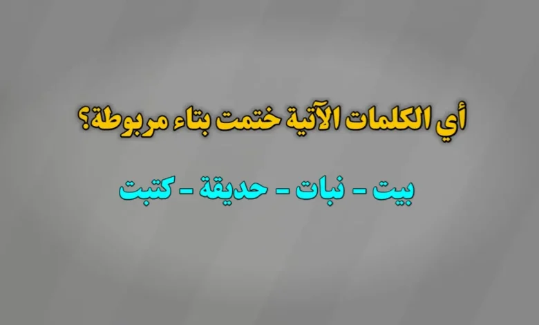 أي الكلمات الآتية ختمت بتاء مربوطة؟ بيت نبات حديقة كتبت
