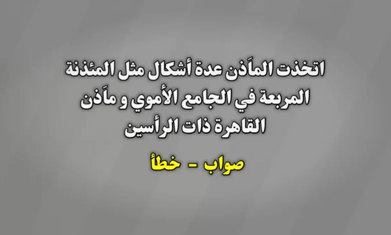 اتخذت الماَذن عدة أشكال مثل المئذنة المربعة في الجامع الأموي و ماَذن القاهرة ذات الرأسين صواب خطأ