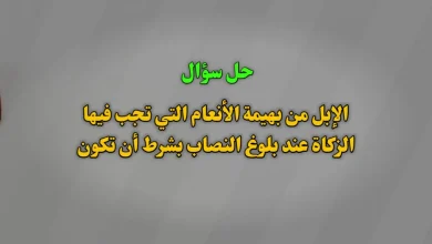 الإبل من بهيمة الأنعام التي تجب فيها الزكاة عند بلوغ النصاب بشرط أن تكون؟