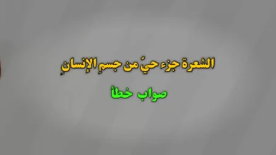 الشعرة جزء حيٌ من جسمِ الإنسانِ. صواب خطأ