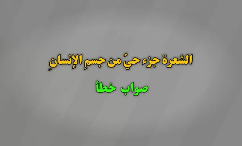 الشعرة جزء حيٌ من جسمِ الإنسانِ. صواب خطأ