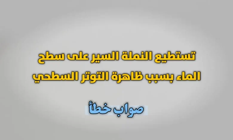 تستطيع النملة السير على سطح الماء بسبب ظاهرة التوتر السطحي صواب خطأ