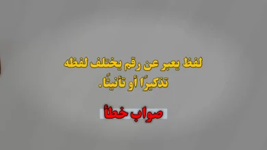 لفظ يعبر عن رقم يختلف لفظه تذكيرًا أو تأنيثًا. صواب خطأ