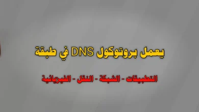 يعمل بروتوكول DNS في طبقة