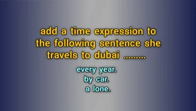add a time expression to the following sentence she travels to dubai ......... every year. by car. a lone.