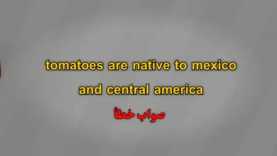 tomatoes are native to mexico and central america صواب خطأ