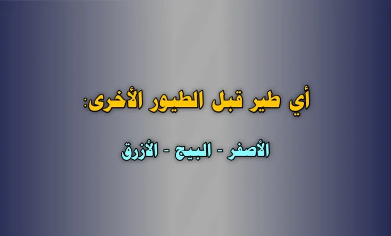 أي طير قبل الطيور الأخرى