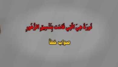 نُورَةُ هِيَ الَّتِي قَامَت بِتَنْسِيقِ الزُّهُورِ. صواب خطأ