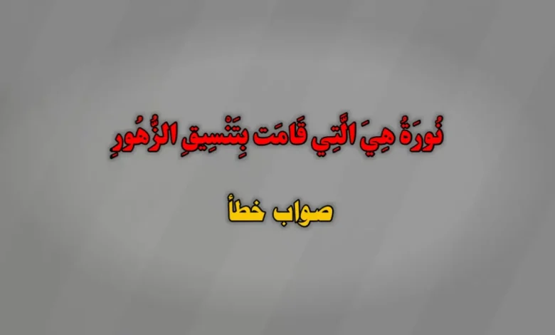 نُورَةُ هِيَ الَّتِي قَامَت بِتَنْسِيقِ الزُّهُورِ. صواب خطأ