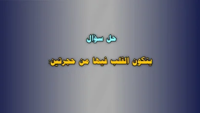 يتكون القلب فيها من حجرتين