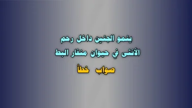 ينمو الجنين داخل رحم الأنثى في حيوان منقار البط صواب خطأ